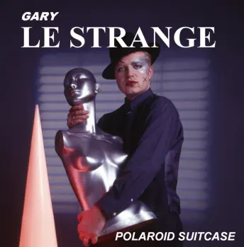 Polaroid Suitcase