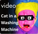 video Cat in a Washing  Machine