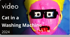video Cat in a Washing Machine  2024