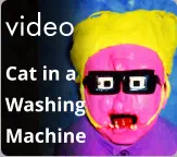 video Cat in a Washing  Machine