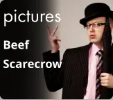 pictures Beef Scarecrow