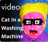 video Cat in a Washing  Machine