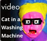 video Cat in a Washing  Machine