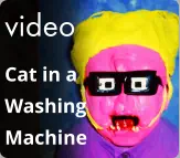video Cat in a Washing  Machine