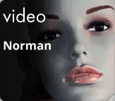 video Norman